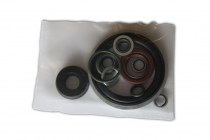 Robatech_compatible_pump_seal_kit_112757_1